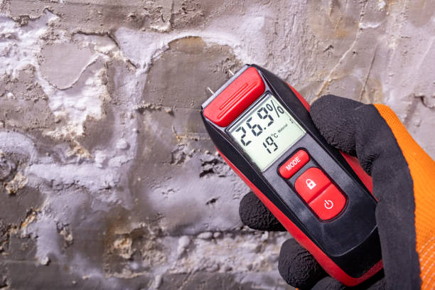 Best Mold Remediation for Specific Building Types in Charleston, SC